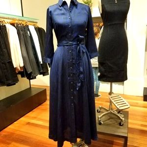 Banana Republic Blue Snake-Print Maxi Shirtdress